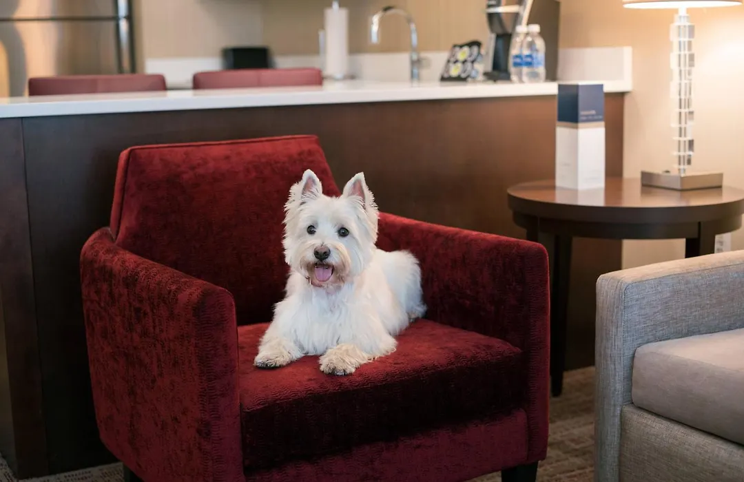 Residence Inn By Marriott Chicago Downtown/Loop-1